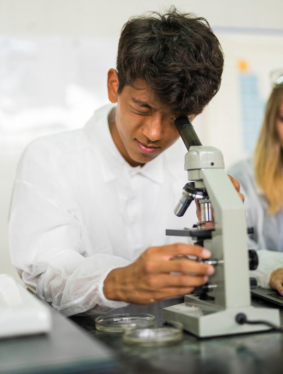 Mejor colegio Bachillerato en Boadilla Mejor colegio Bachillerato en Boadilla